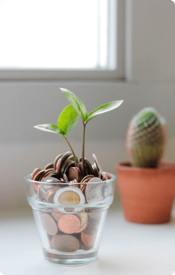 Finance & Insurance